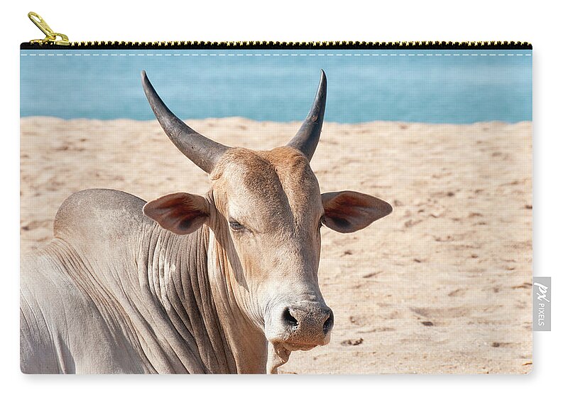 Water's Edge Zip Pouch featuring the photograph Indian Cow by Brettcharlton