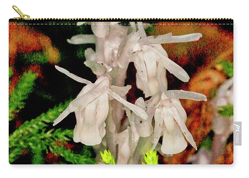 Macro Photography Zip Pouch featuring the photograph Indian Pipes On Club Moss by Meta Gatschenberger