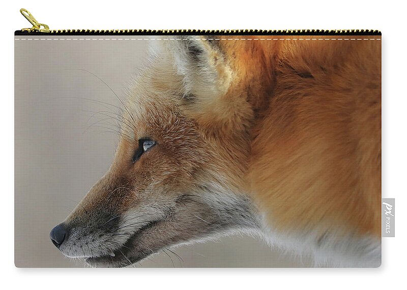 Red Fox Zip Pouch featuring the photograph Intense Stare by Doris Potter