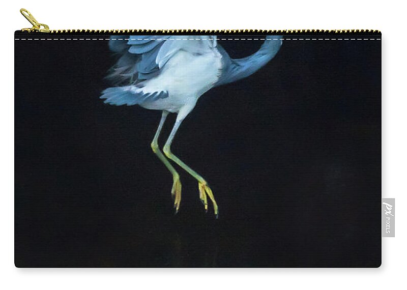Bird Zip Pouch featuring the photograph Into The Dark 0346 by Ginger Stein