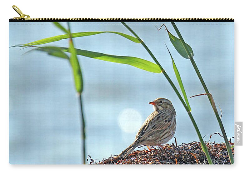 New Jersey Zip Pouch featuring the photograph Ipswich Sparrow by Jennifer Robin