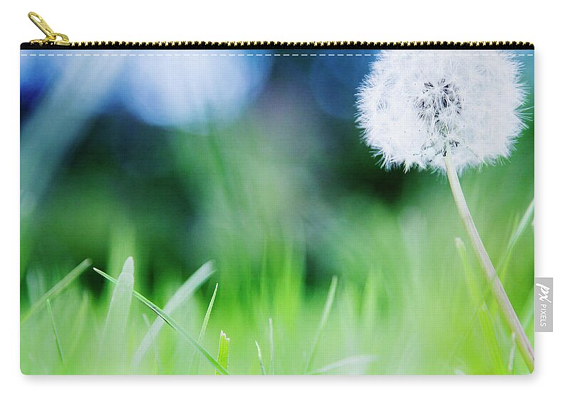 Grass Zip Pouch featuring the photograph Ireland, County Westmeath, Dandelion In by Jamie Grill