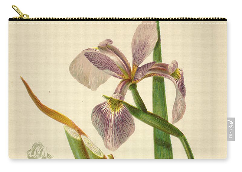 Iris Zip Pouch featuring the mixed media Iris Versicolor Blue Flag by L Prang