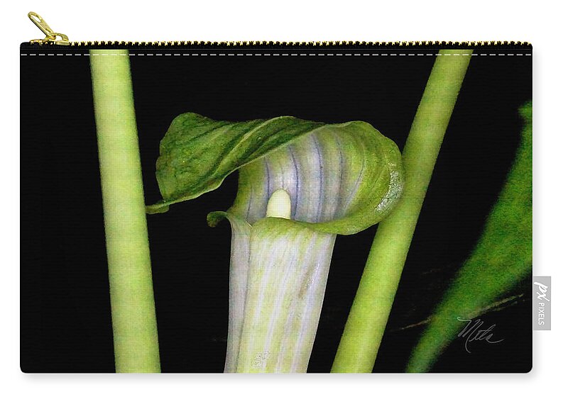 Macro Photography Zip Pouch featuring the photograph Jack In The Pulpit by Meta Gatschenberger