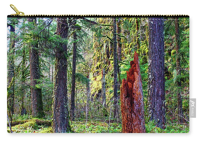 Conifer Zip Pouch featuring the photograph January 1000 ft yet no snow Oregon USA conifer forest beautiful quiet mossy Mount Hood National by Robert C Paulson Jr