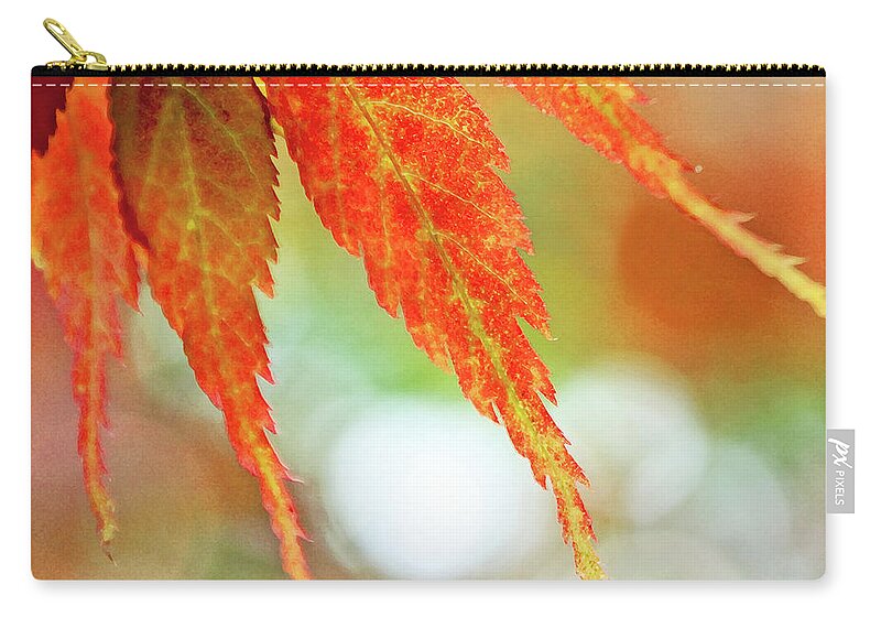 Outdoors Zip Pouch featuring the photograph Japanese Maple by Nichola Sarah
