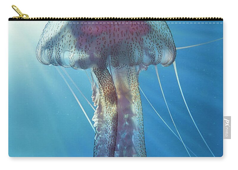 Underwater Zip Pouch featuring the photograph Jellyfish by Frederic Pacorel