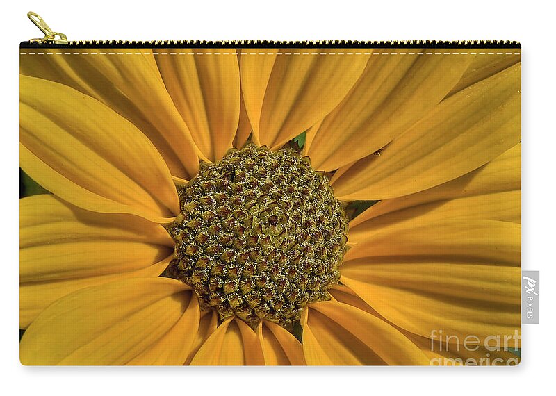 Flowers Zip Pouch featuring the photograph Journey To The Center Of A Flower by Kathy Baccari