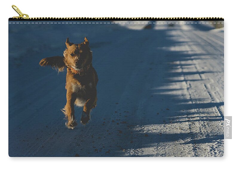 Dog Zip Pouch featuring the photograph Joyful dog by Julieta Belmont