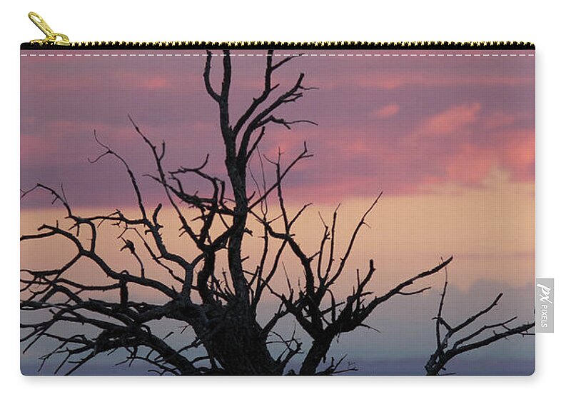 Juniper Zip Pouch featuring the photograph Juniper Skeleton by Jonathan Thompson