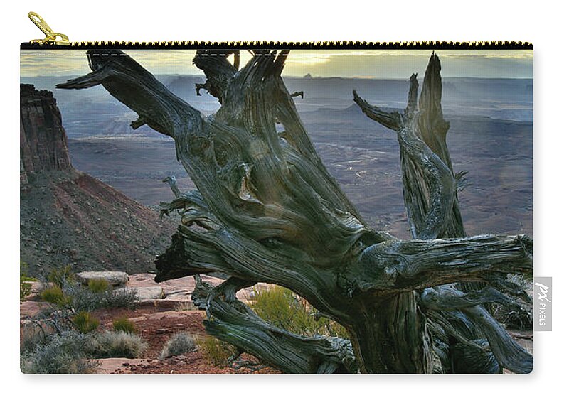 Canyonlands National Park Zip Pouch featuring the photograph Juniper Tree on Orange Cliffs in Canyonlands NP by Ray Mathis