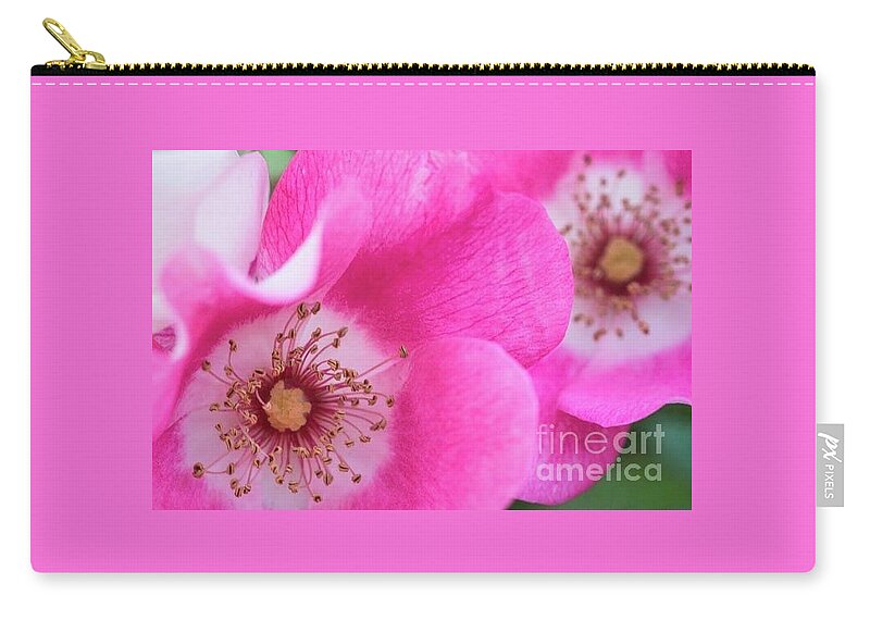 Flora Zip Pouch featuring the photograph June Roses Macro by Jill Greenaway