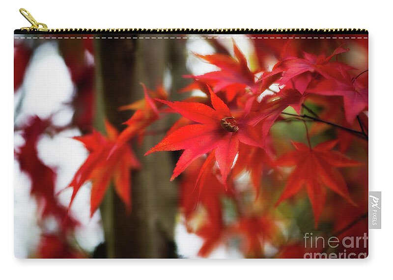 Botanical Zip Pouch featuring the photograph Just a Part of Me by Venetta Archer