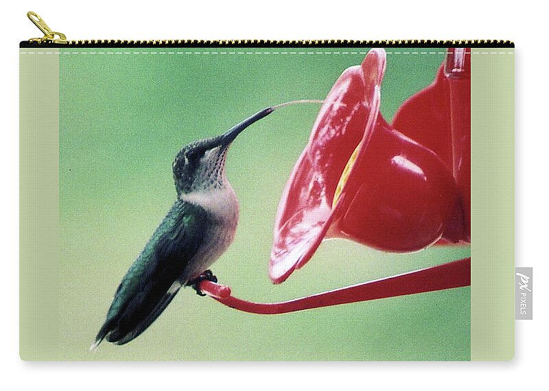 Birds Zip Pouch featuring the photograph Just a Taste by Karen Stansberry