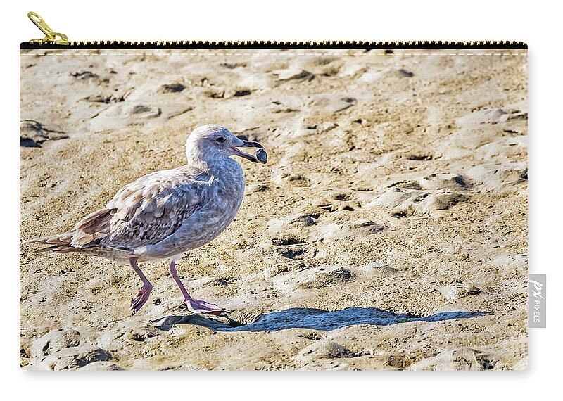 Herring Gull Zip Pouch featuring the photograph Juvenile Herring Gull by Kate Brown