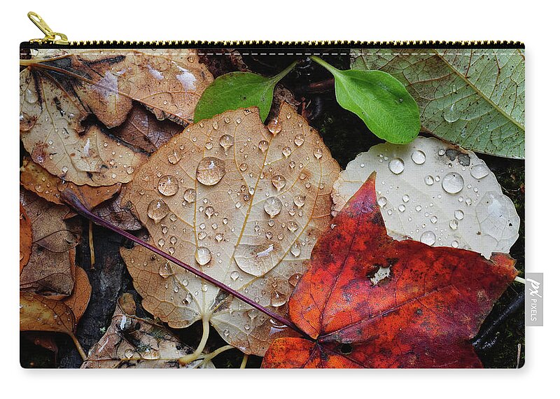 00645387 Zip Pouch featuring the photograph Katsura Leaves In Autumn by Hiroya Minakuchi