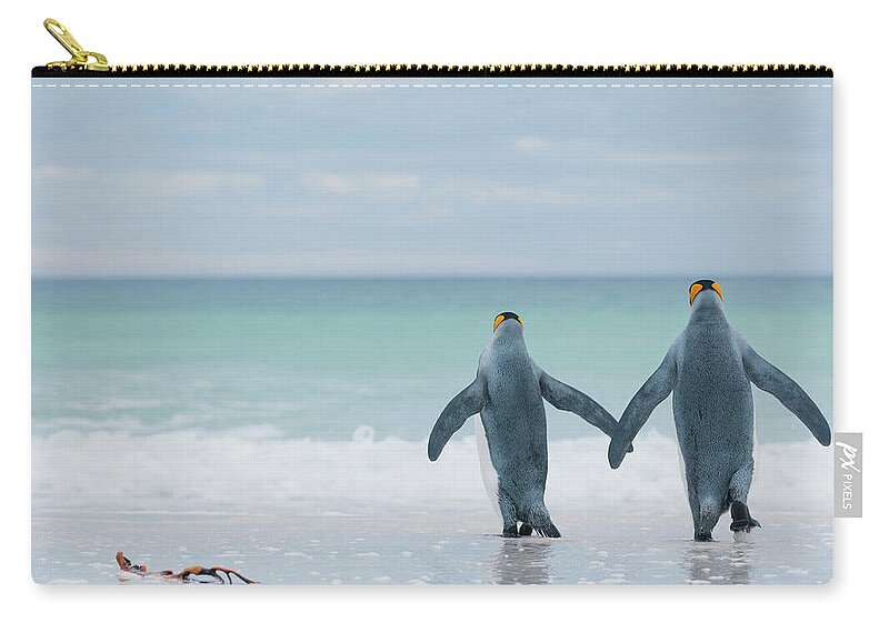 King Penguins Entering The Sea Carry-all Pouch by Tui De Roy - Animals and  Earth