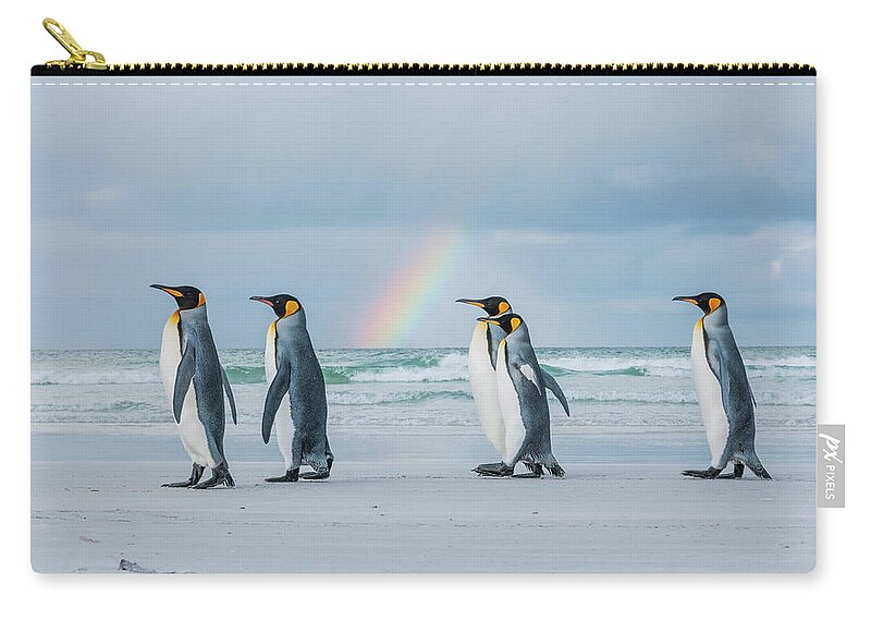 Animal Zip Pouch featuring the photograph King Penguins On Beach With Rainbow by Tui De Roy