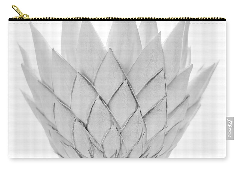 White Background Zip Pouch featuring the photograph King Protea by Michael John Hood
