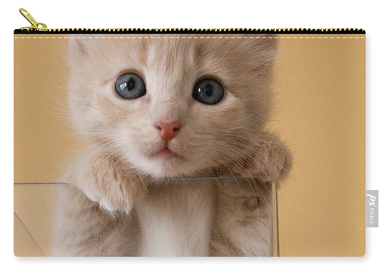 Pets Zip Pouch featuring the photograph Kitten In Glass Vase by Sanna Pudas