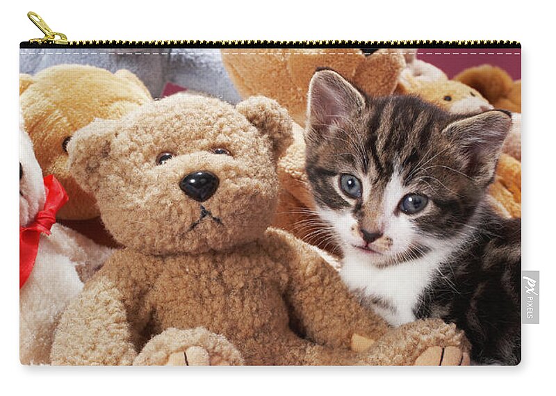 Pets Zip Pouch featuring the photograph Kitten Nestled Amongst Soft Toys by Martin Poole