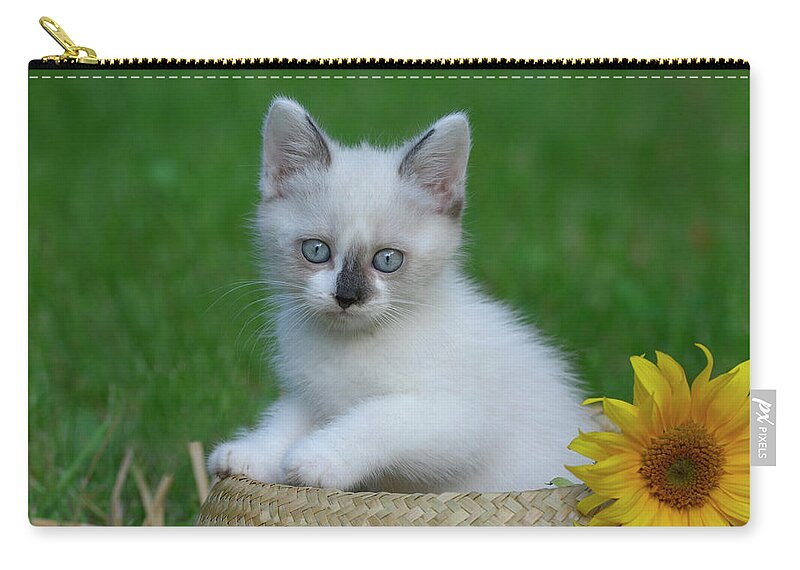 Pets Zip Pouch featuring the photograph Kitten Sitting In Straw Hat by Cornelia Doerr