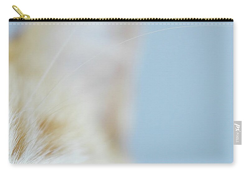Pets Zip Pouch featuring the photograph Kitty by Cindy Loughridge