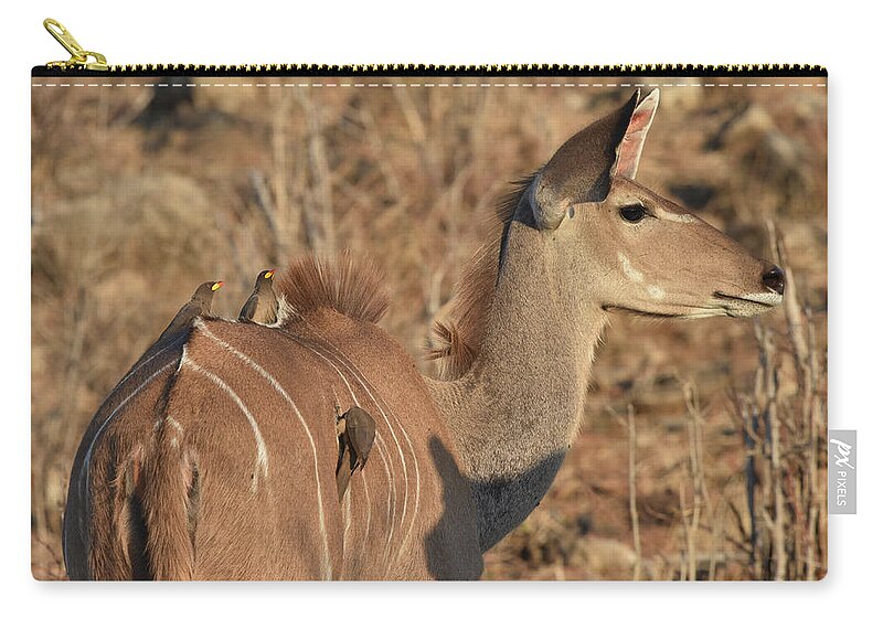 Kudu Carry-all Pouch featuring the photograph Kudu with Oxpeckers by Ben Foster