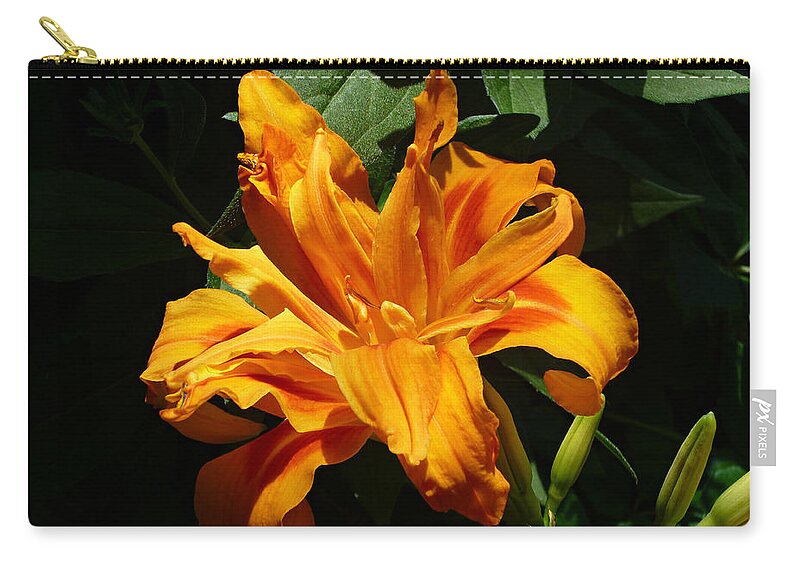 Orange Daylily Zip Pouch featuring the photograph Kwanso Double Orange Heirloom Daylily by Mike McBrayer