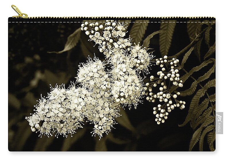 Lace Zip Pouch featuring the photograph Lace-like inflorescence by Tatiana Travelways