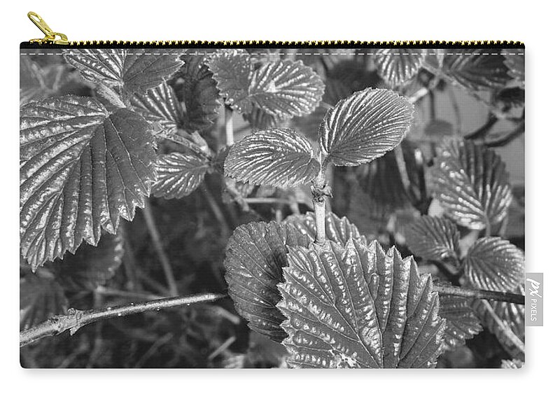 Lady Bug Zip Pouch featuring the photograph Lady Bug On A Leaf by Marty Klar