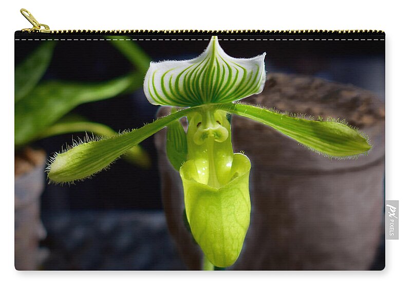 #marie #selby #botanical #gardens #botanicalgarden #sarasota Zip Pouch featuring the photograph Lady Slipper Orchid - green by Gary F Richards