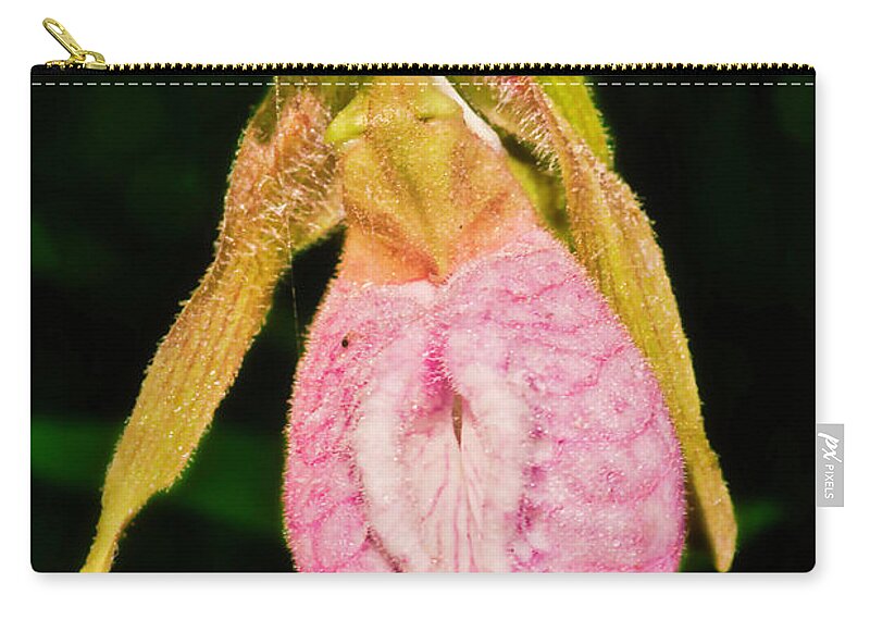 Lady Slipper Orchid Zip Pouch featuring the photograph Lady Slipper Parkway by Meta Gatschenberger