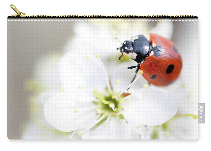 Saturated Color Zip Pouch featuring the photograph Ladybug by Alexandrumagurean