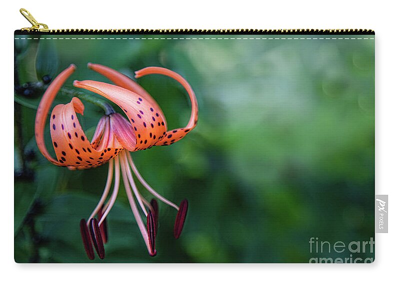 Lily Zip Pouch featuring the photograph Lancifolium - The Tiger Lily by Marilyn Cornwell