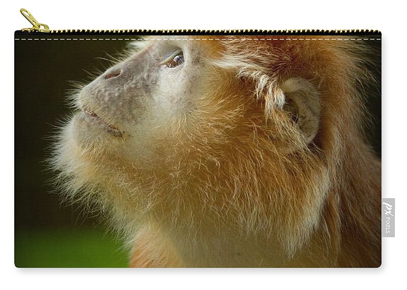 Animal Themes Zip Pouch featuring the photograph Languar Monkey by Wendy Salisbury Photography