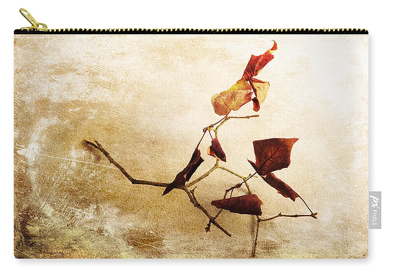 Faded Zip Pouch featuring the photograph Last Movement by Randi Grace Nilsberg