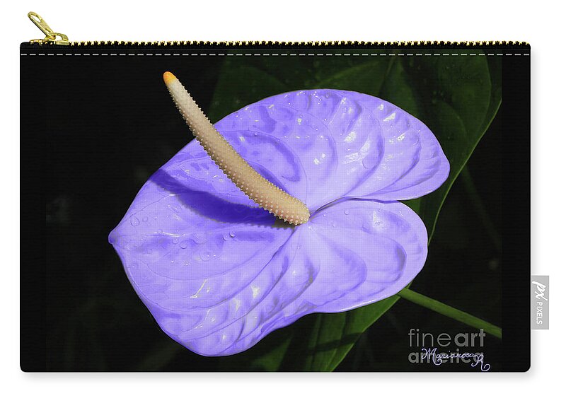 Nature Zip Pouch featuring the photograph Lavender Anthurium by Mariarosa Rockefeller