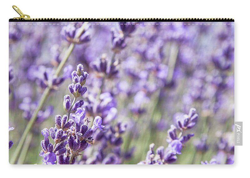 Lavender Zip Pouch featuring the photograph Lavender Field by Ana V Ramirez