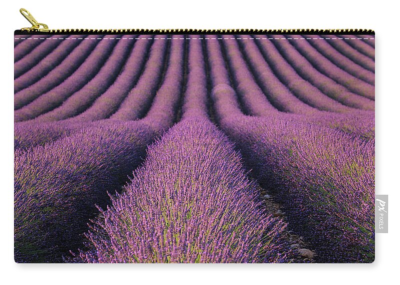In A Row Zip Pouch featuring the photograph Lavender Field by Martin Ruegner