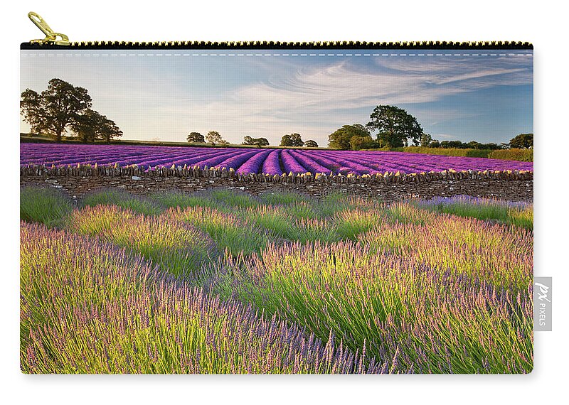 Scenics Zip Pouch featuring the photograph Lavender Fields At Dawn by Doug Chinnery