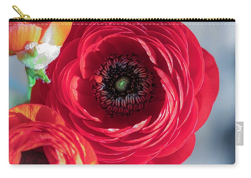 Flower Zip Pouch featuring the photograph Layered by Terri Hart-Ellis