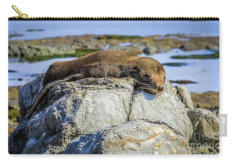 Seal Zip Pouch featuring the photograph Lazy fur seal on a rock, Cape Foulwind, New Zealand by Lyl Dil Creations
