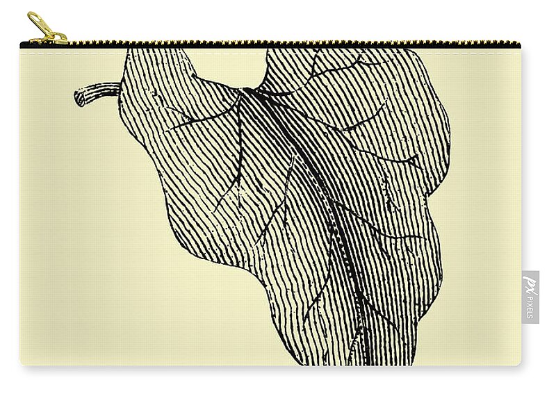 Leaf Zip Pouch featuring the mixed media Leaf 3 by Naxart Studio
