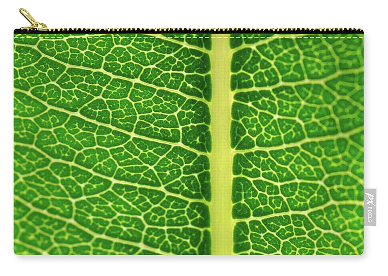 Green Zip Pouch featuring the photograph Leaf Veins by Jeff Phillippi