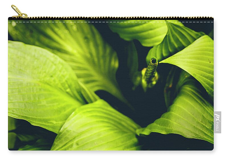 America Zip Pouch featuring the photograph Leafy Greens by ProPeak Photography