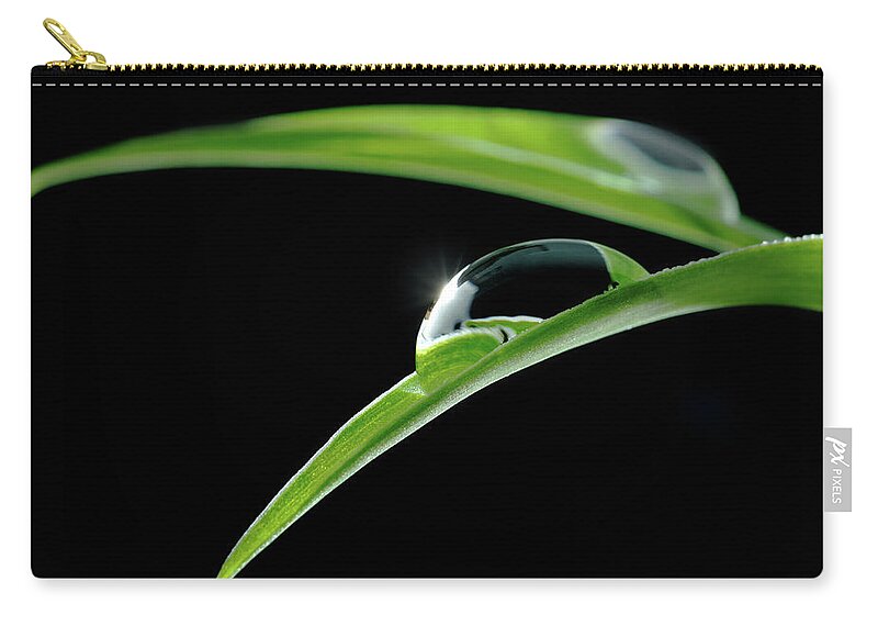 Flowerbed Zip Pouch featuring the photograph Leaves And Drop Of Water by Trout55