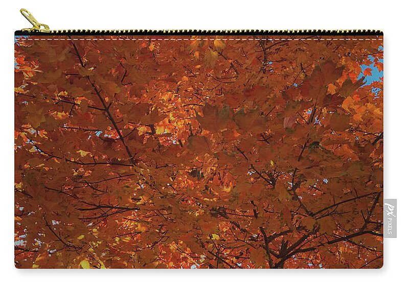Fall Zip Pouch featuring the photograph Leaves of Fire by Lora J Wilson