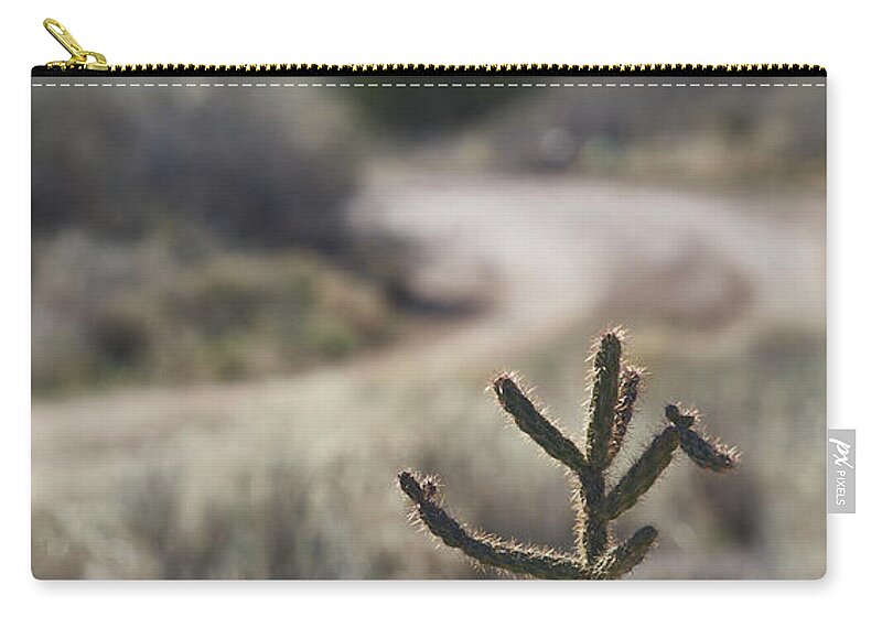 New Mexico Desert Carry-all Pouch featuring the photograph Left at Albuquerque by Robert WK Clark