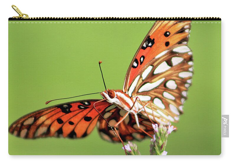 Butterfly Carry-all Pouch featuring the photograph Life in Balance by Michael Allard